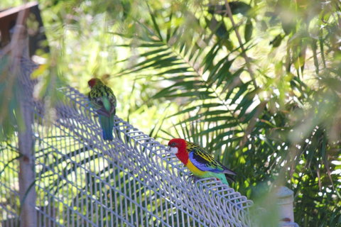 Marty's @ Little Beach - Accommodation Rockhampton 27