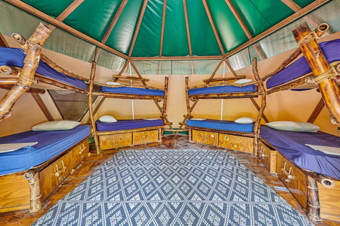 Arts Factory By Nomads - Accommodation Rockhampton 4