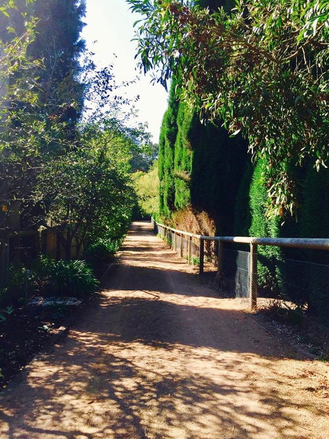 Bowral Escape - Accommodation Rockhampton 24