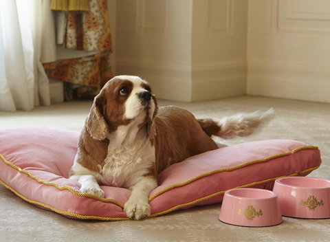 The Langham Sydney - Accommodation Rockhampton 23