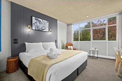 City Centre Motel Armidale - Accommodation Rockhampton 8