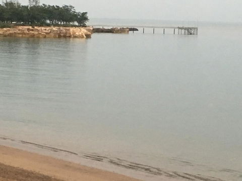 Nightcliff Foreshore Getaway - McKay Gardens - Accommodation Rockhampton 27