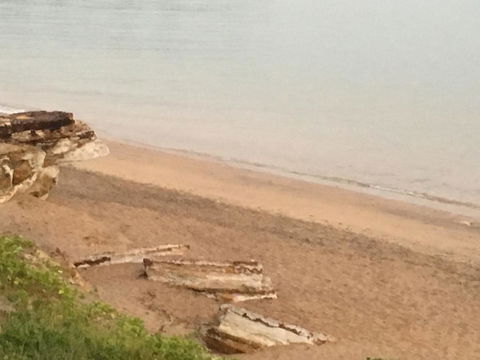Nightcliff Foreshore Getaway - McKay Gardens - Accommodation Rockhampton 28