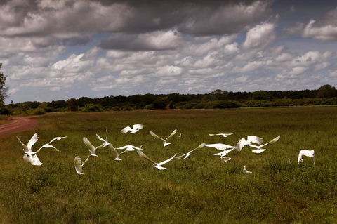 Wildman Wilderness Lodge - Accommodation Rockhampton 20