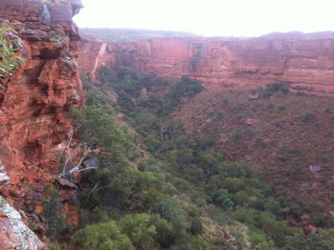 Discovery Resorts - Kings Canyon - Accommodation Rockhampton 34