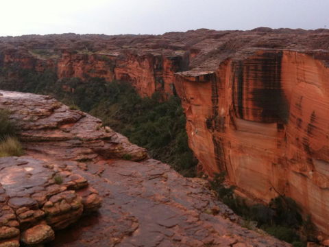 Discovery Resorts - Kings Canyon - Accommodation Rockhampton 35