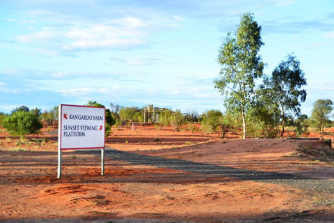 Erldunda Desert Oaks Resort - Accommodation Rockhampton 28