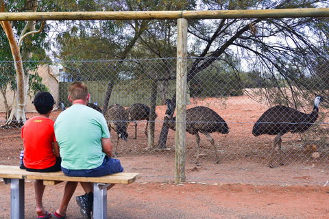 Erldunda Desert Oaks Resort - Accommodation Rockhampton 21