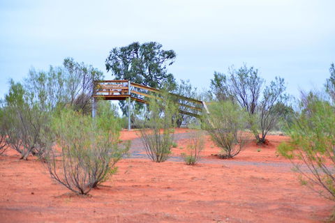 Erldunda Desert Oaks Resort - Accommodation Rockhampton 42