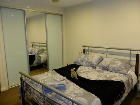 Rock Wallaby - Accommodation Rockhampton 14