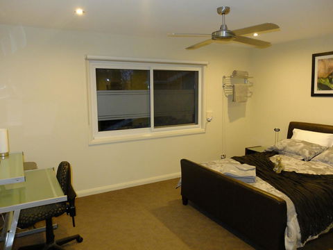 Rock Wallaby - Accommodation Rockhampton 6