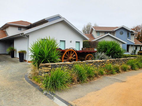 Rock Wallaby - Accommodation Rockhampton 5