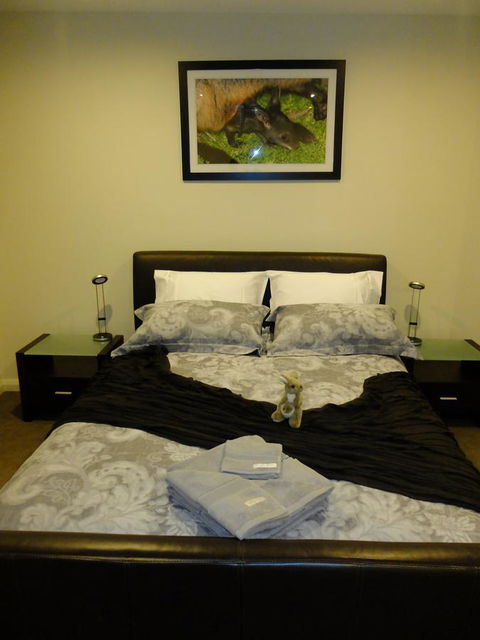 Rock Wallaby - Accommodation Rockhampton 18