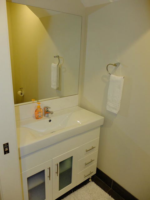 Rock Wallaby - Accommodation Rockhampton 15