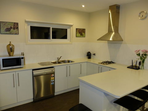 Rock Wallaby - Accommodation Rockhampton 12
