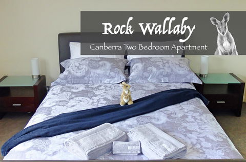 Rock Wallaby - Accommodation Rockhampton 4