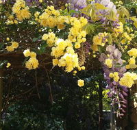 Bowral Road Bed and Breakfast - Accommodation Rockhampton
