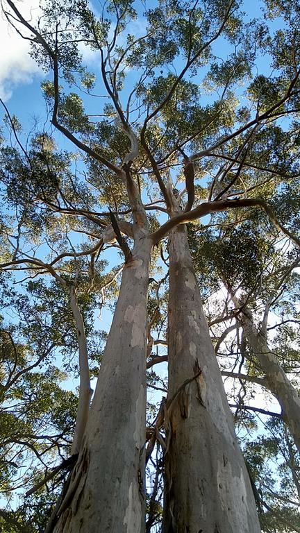 Broxholme B&B - Accommodation Rockhampton 3