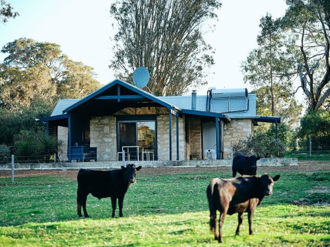 Burnside Organic Farm - Accommodation Rockhampton 2