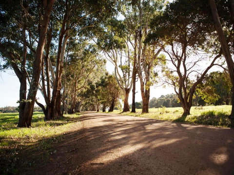 Bussells Bushland Cottages - Accommodation Rockhampton 1
