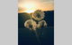 Byron Bay Hinterland House - Amazing Sunset Views! - thumb 3