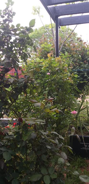 CBD Home Rinaldi's - Accommodation Rockhampton 1