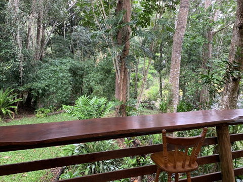 Cedar Park Rainforest Resort - Accommodation Rockhampton 2