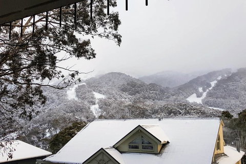 Celesia 2 - Accommodation Rockhampton 0