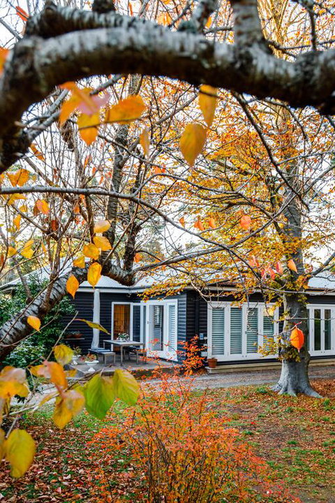 Charming Mountain Cottage - Accommodation Rockhampton 3