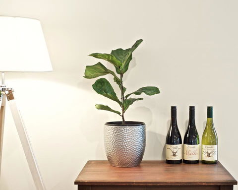 Cirillo Guest House - Accommodation Rockhampton 2