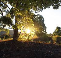 Clarendon Forest Retreat - Accommodation Rockhampton