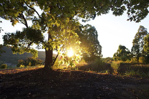 Clarendon Forest Retreat - Accommodation Rockhampton 0