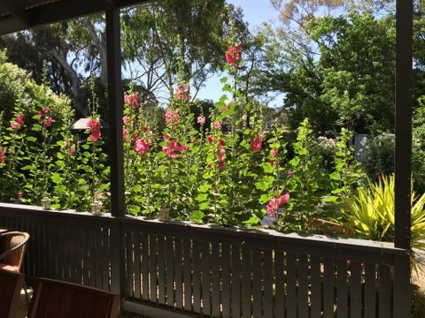 Clarevale Cottage B&B - Accommodation Rockhampton 1