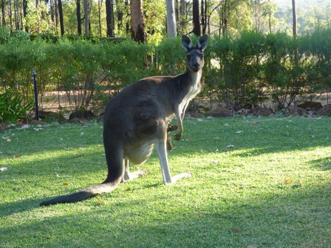 Country Charm Retreat B&B - Accommodation Rockhampton 2