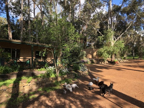 Country Cottages Of Bridgetown - Accommodation Rockhampton 1