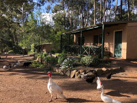 Country Cottages Of Bridgetown - Accommodation Rockhampton 0
