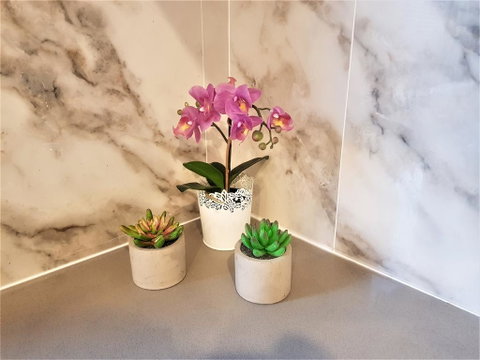 Cozy Duplex Home 3 Bdrms 1 Bath Sleeps 6 - Accommodation Rockhampton 2