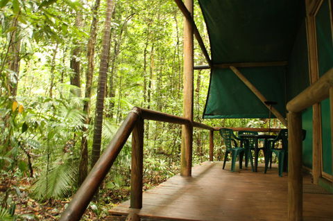 Daintree Crocodylus - Accommodation Rockhampton 1