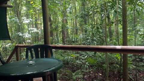 Daintree Crocodylus - Accommodation Rockhampton 2