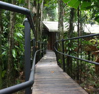 Daintree Wilderness Lodge - Accommodation Rockhampton