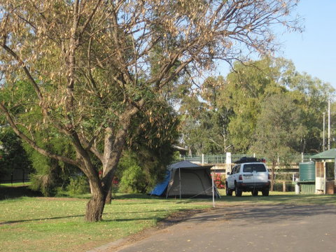 Dalby Tourist Park - Accommodation Rockhampton 3