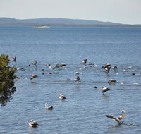 Denmark Waters BB - Accommodation Rockhampton
