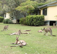Depot Beach Cabins - Accommodation Rockhampton