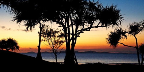 Driftwood Motel And Holiday Units - Accommodation Rockhampton 2