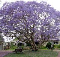Ecotel Narooma - Accommodation Rockhampton