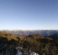 Elkhorn 7 - Accommodation Rockhampton