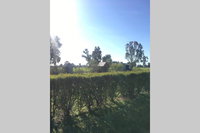 Book Benalla Accommodation Vacations Accommodation Rockhampton Accommodation Rockhampton