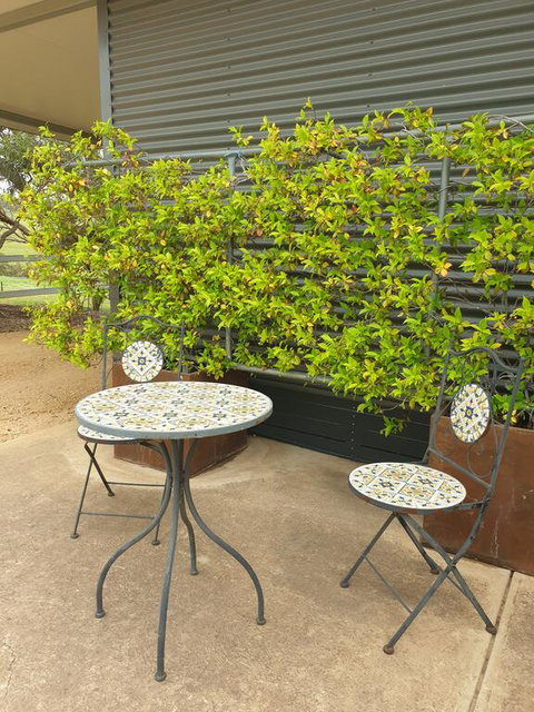 Farm Stay Studio - Accommodation Rockhampton 2
