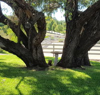 Farm Stay Studio - Accommodation Rockhampton