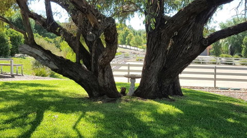 Farm Stay Studio - Accommodation Rockhampton 0